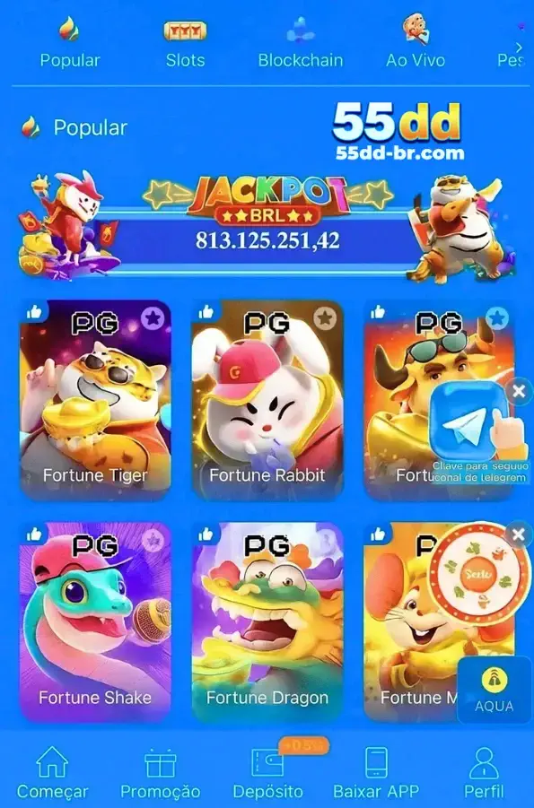 Interface do aplicativo 55DD Cassino no celular